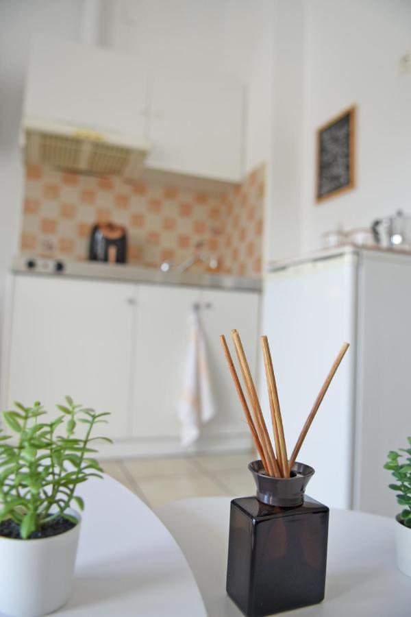 Ferienwohnung Plateia Sea View Loft Samos Town Exterior foto